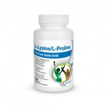 Lysine Proline